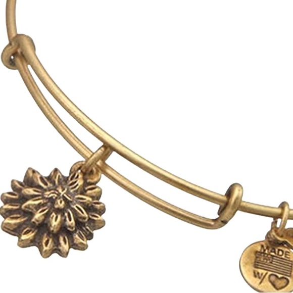 new Alex and Ani ꥟ Sacred Garden - Water Lily Charm Bangle Bracelet ꥟ Gold - Picture 7 of 14